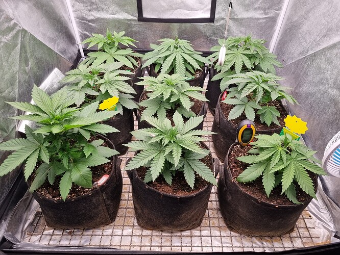 Growreport Bild 22