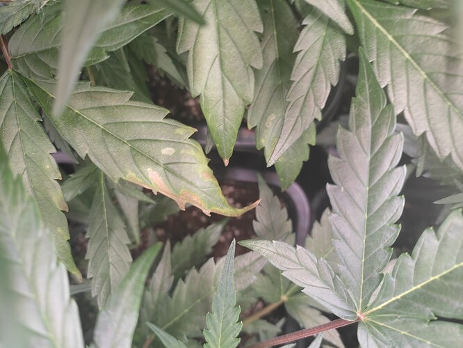 Growreport Bild 12