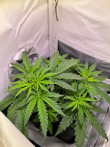 Growreport Bild 11