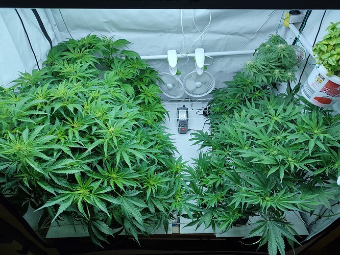 Growreport Bild 42