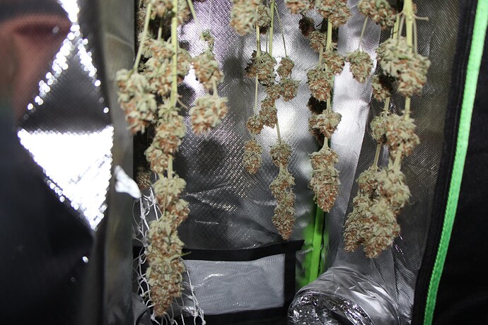 Growreport Bild 5