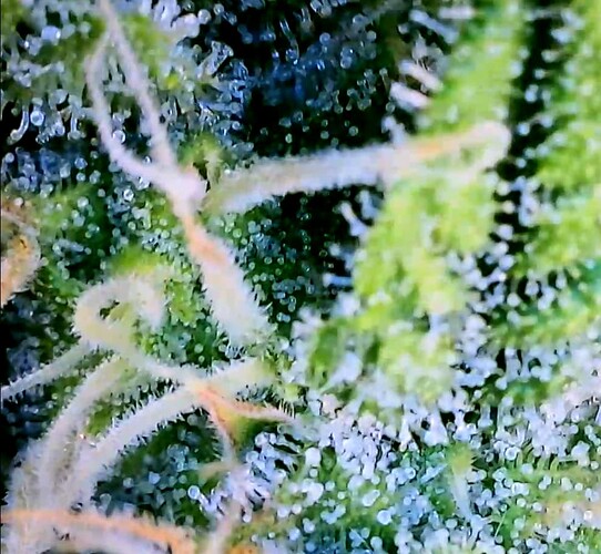 Screenshot_4