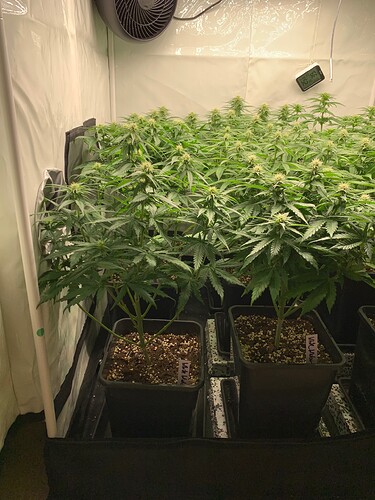 Growreport Bild 2