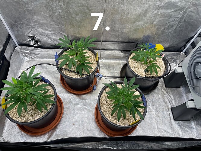 Growreport Bild 7