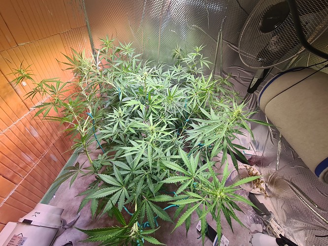 Growreport Bild 15