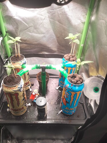Growreport Bild 6