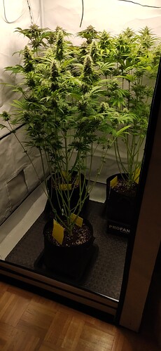 Growreport Bild 2