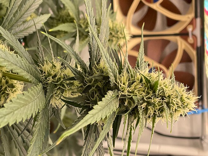 Growreport Bild 8