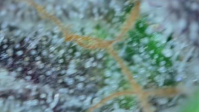 2022-06-25-032144943