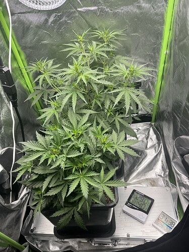 Growreport Bild 29