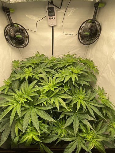 Growreport Bild 17