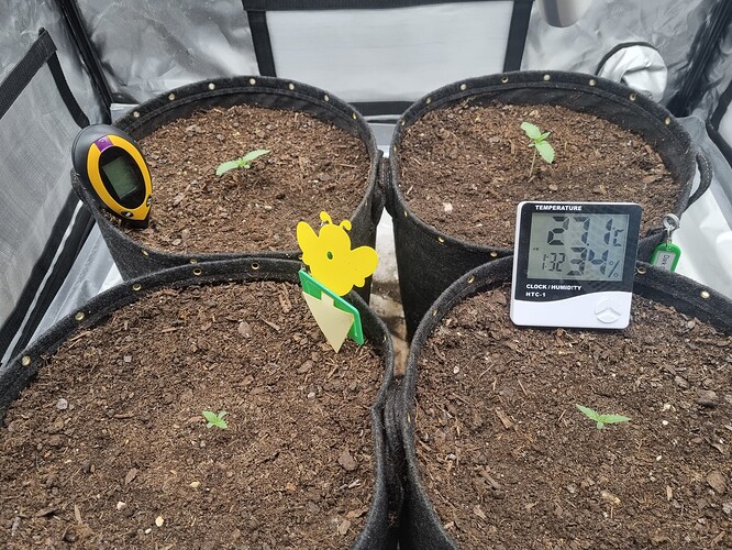Growreport Bild 13