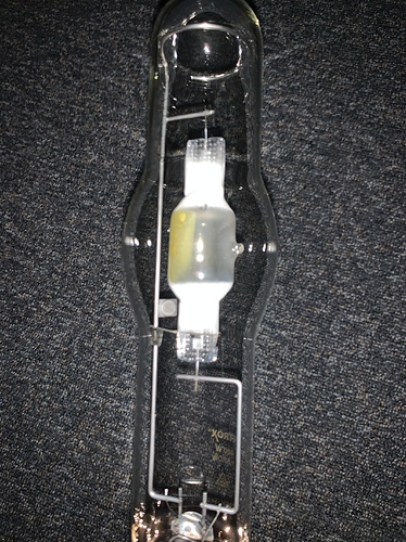 Growreport Bild 7