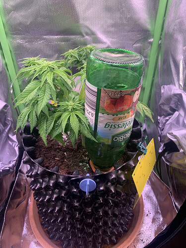 Growreport Bild 1