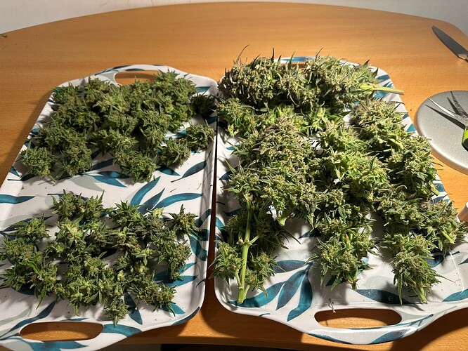 Growreport Bild 26
