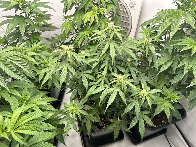 Growreport Bild 11