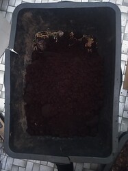 IMG_20240112_093845