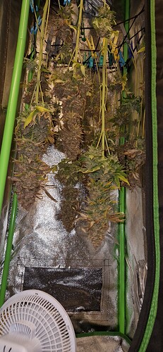 Growreport Bild 16