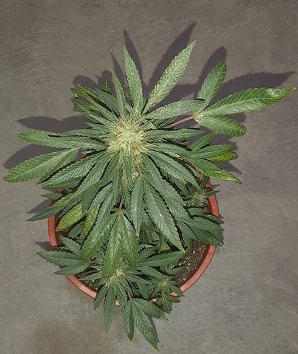 Growreport Bild 8