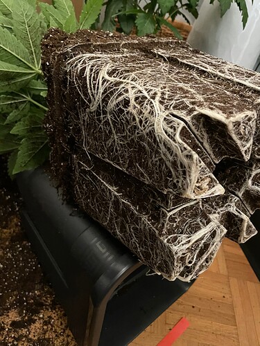 Growreport Bild 14