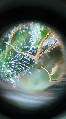 20220127_180910 - Copy