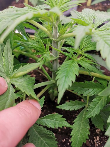 Growreport Bild 16