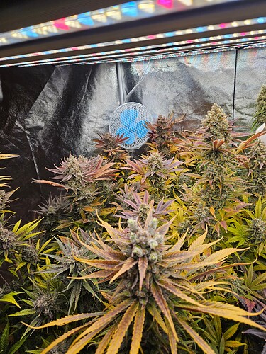 Growreport Bild 9