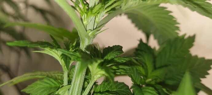 Growreport Bild 8