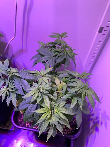 Growreport Bild 5