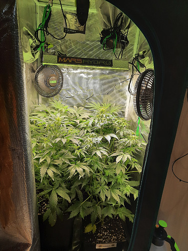 Growreport Bild 12