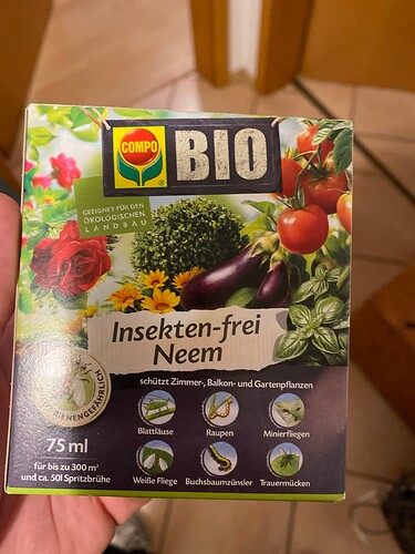 Growreport Bild 19