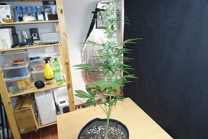 Growreport Bild 11