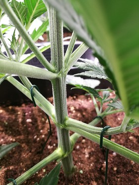 Growreport Bild 14