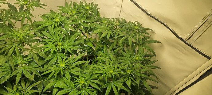 Growreport Bild 11