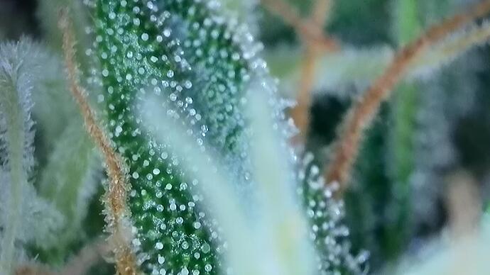 signal-2022-10-25-191504_012