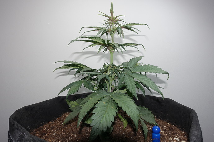 Growreport Bild 14