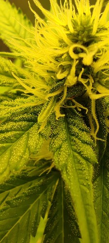 Growreport Bild 12