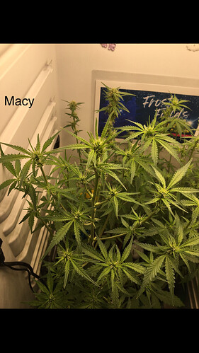 Growreport Bild 6