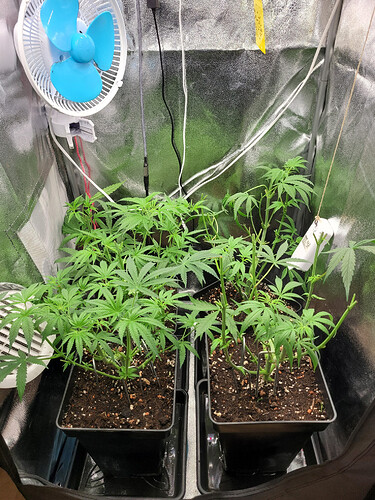 Growreport Bild 3