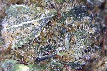 Foto am 18.11.20 um 14.57 #2