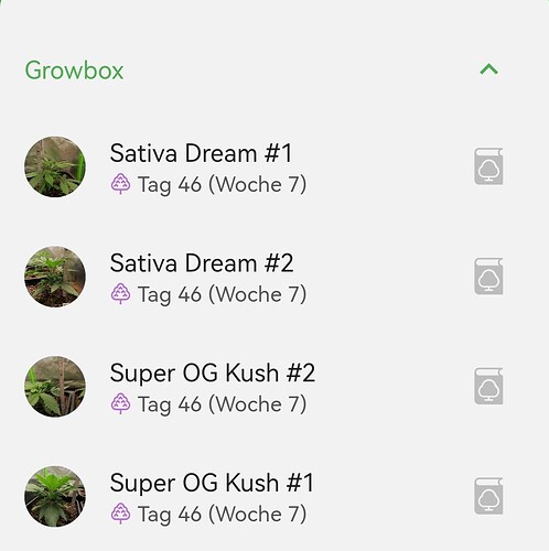Growreport Bild 2