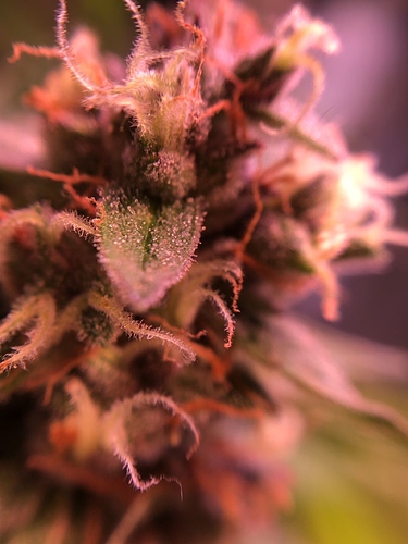 Growreport Bild 11