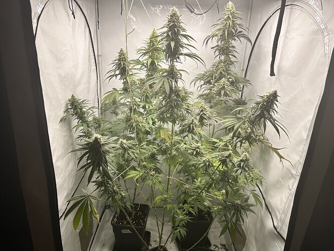 Growreport Bild 15