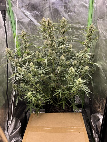 Growreport Bild 14