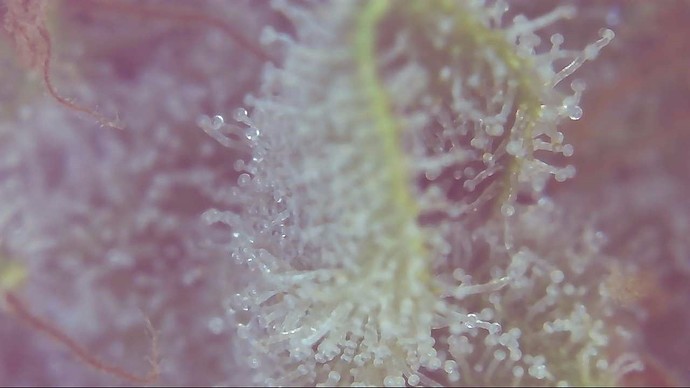 Growreport Bild 16