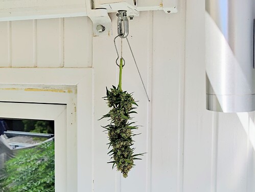 IMG_20220810_150241~2