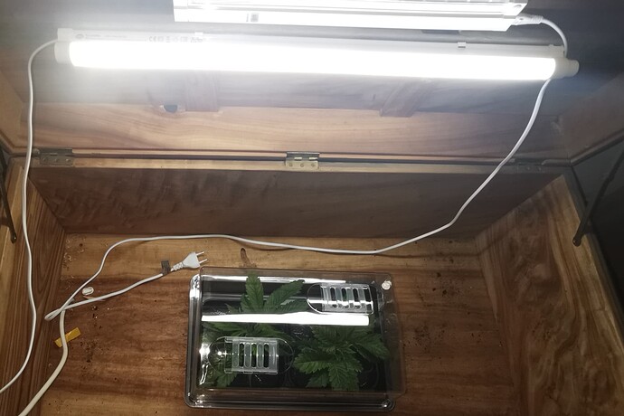 Growreport Bild 50