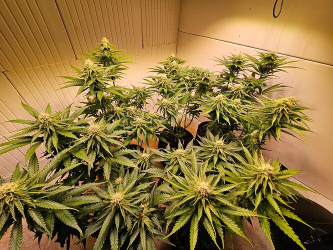 Growreport Bild 10