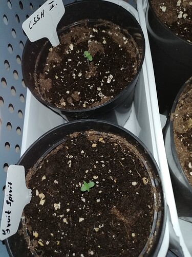 Growreport Bild 14