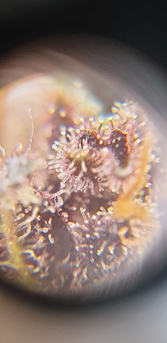 Growreport Bild 8